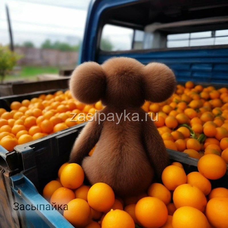 🚚Чебурашка. Начало.🍊