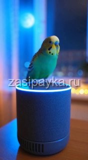 🌙 Кекс, Гришка и очень умная ссора