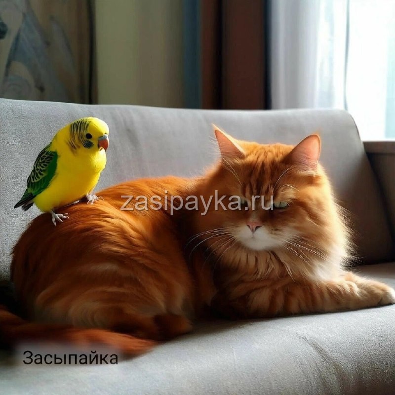 🐈🦜Кекс и Гришка: Спасение Дома от Злобного Таракана🪳 Спасательная сказка