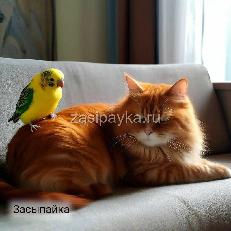 🐈🦜Кекс и Гришка: Спасение Друга🐠 Спасательная сказка