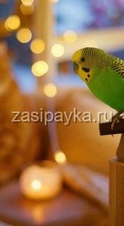 🌈 Лес, который перепутал времена года