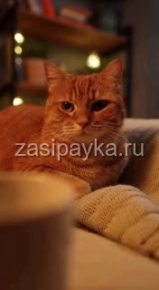 🌙 Вечерняя сказка
