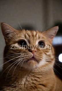 🌙 Вечерняя сказка ⠀ Человек лёг спать, но сон лёг раньше ⠀ Один человек ещё не собирался спать.