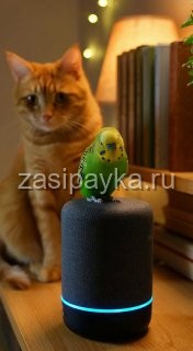 🌙 Вечерняя сказка Кот Кекс, попугай Гришка и очень вежливая Алиса